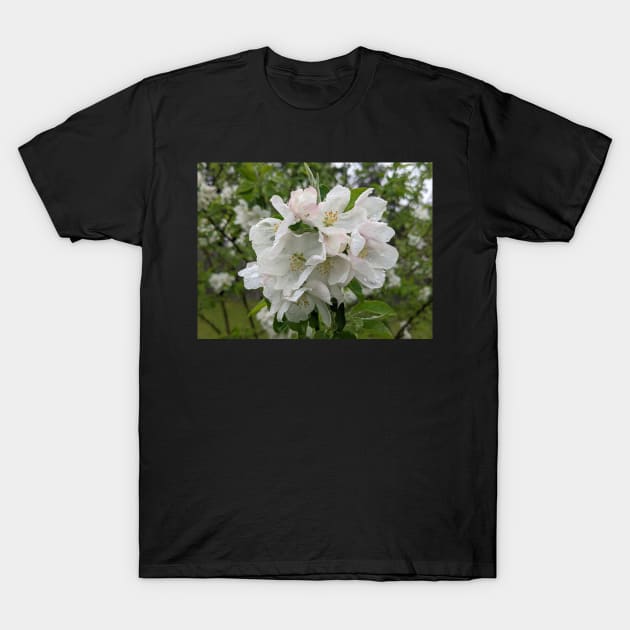 Wet White Tree Flowers 2 T-Shirt by AustaArt